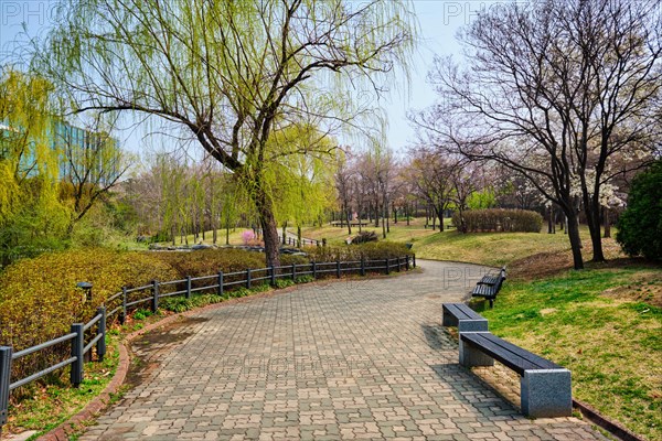 Path walk with benches in Yeouido Park public park in Seoul