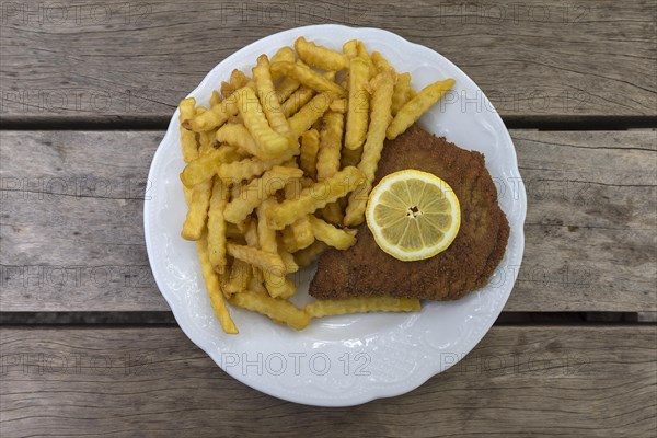 Cordon bleu with french fries served in a garden restaurant