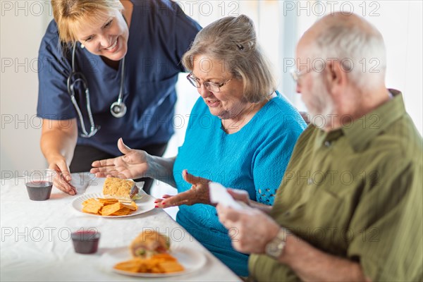 Female doctor or nurse serving senior adult couple sandwiches at table