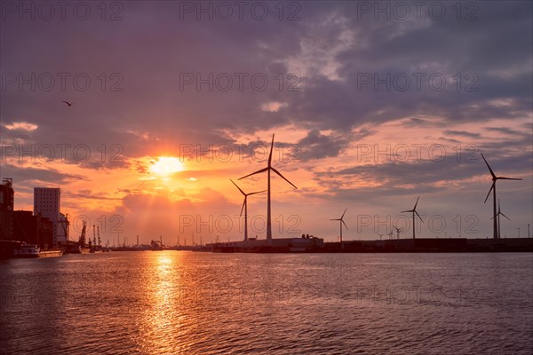 Wind turbines power electricity generators in Antwerp port on sunset. Antwerp