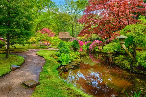 Little Japanese garden after rain