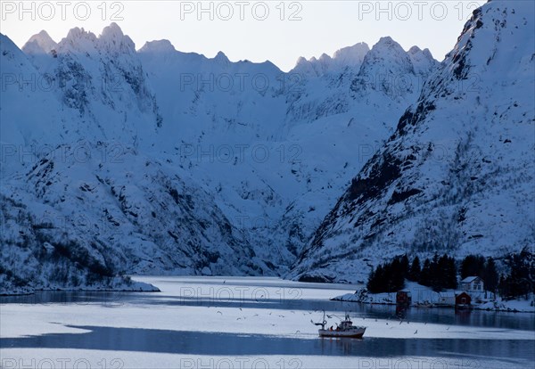 Trollfjord