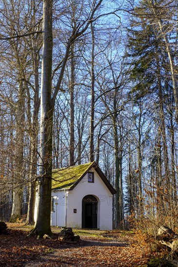 Castle nature trail