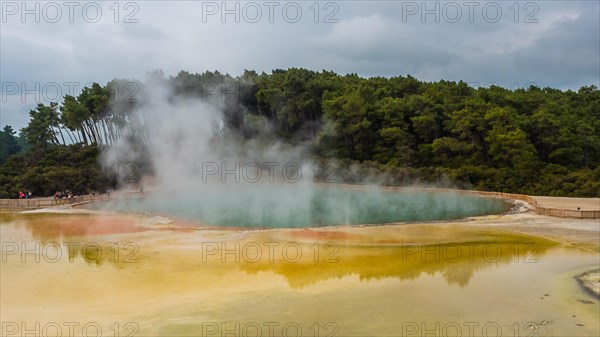 Champagne Pool