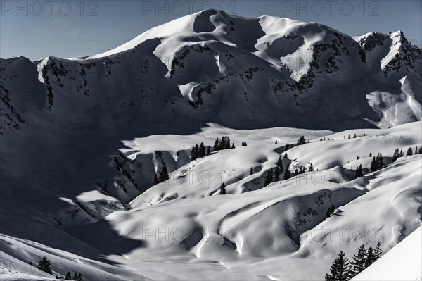 Winterlicher Gipfel des Falzer Kopfes