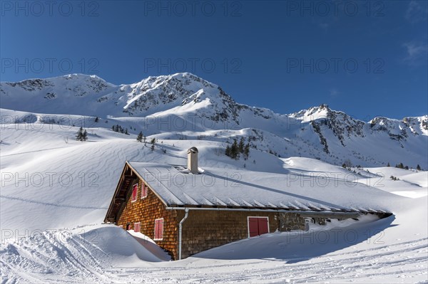 Tief verschneite Scharzwasseralpe mit Gipfel des Steinmandels