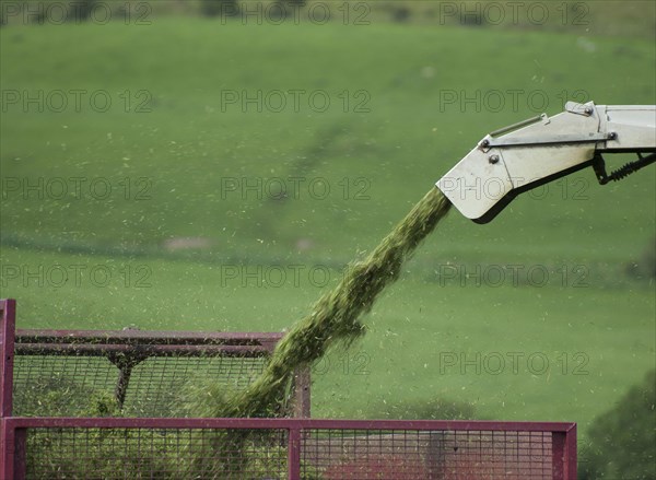 Harvesting grass for silage