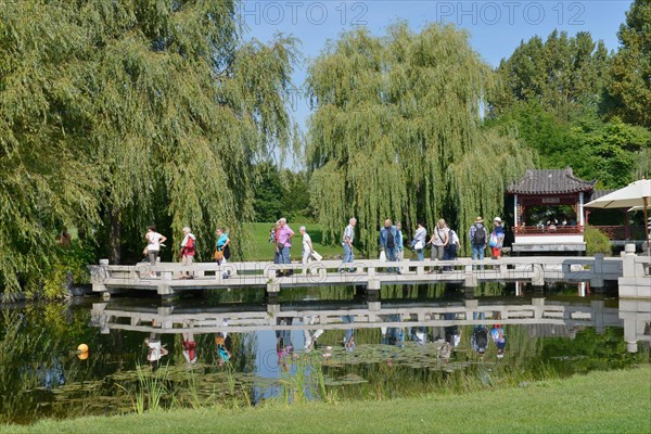 Chinese Garden