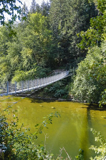 Haengebruecke im Fuerstlichen Park Inzigkofen