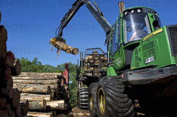 John Deere 1010E Forwarder loading logs onto timber barge