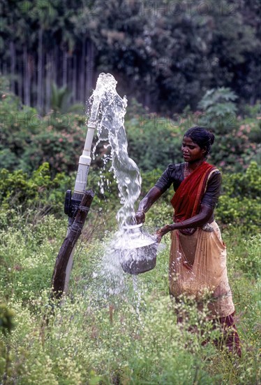 A woman collecting water directly from bore well in Anaikatty