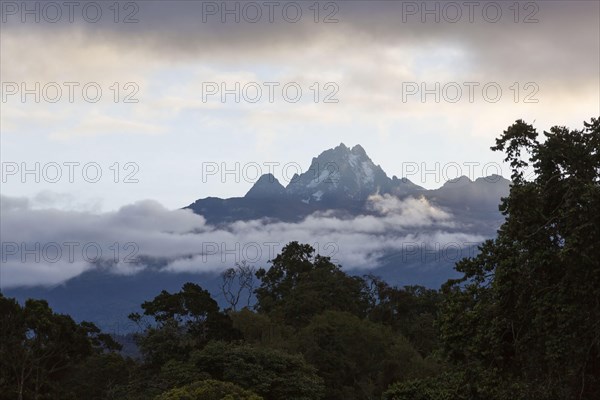 View of mountain peak and montane rainforest habitat