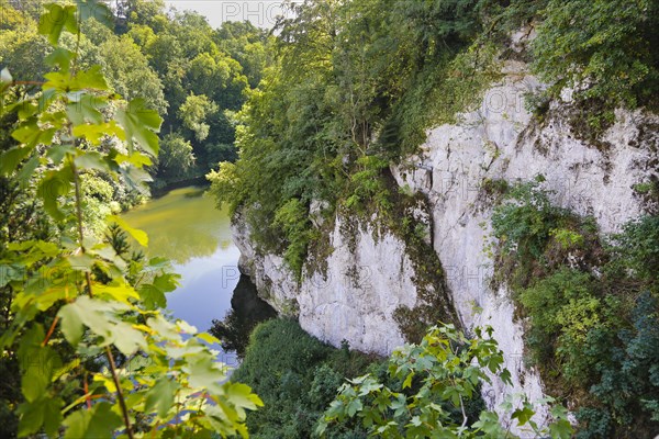 Fuerstlicher Park Inzigkofen