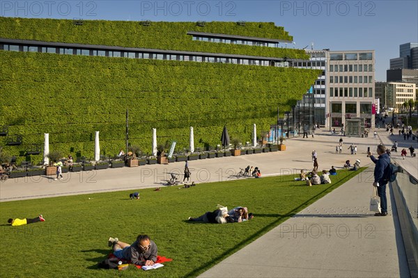 Green Ingenhoven valley with people