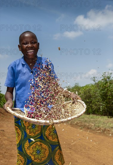 Young girl sorts chaff from beans by throwing them into a basket