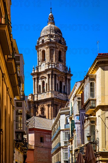 Cathedral in the middle of the old town