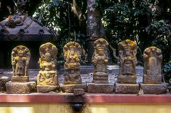 Mannarasala Sree Nagaraja temple near Haripad