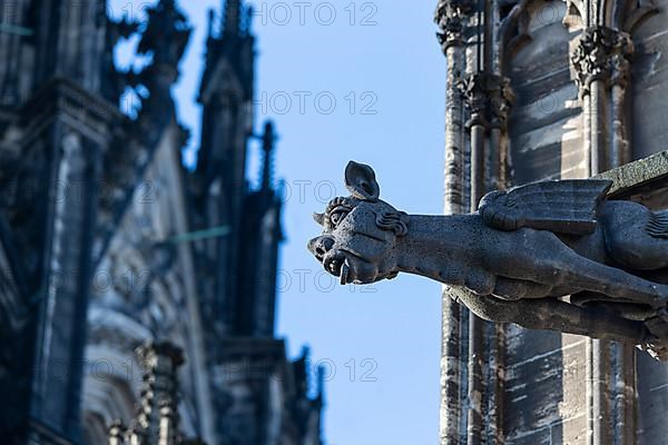 Mystical figures as gargoyles at Cologne Cathedral