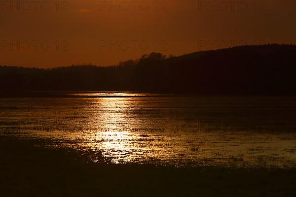 Dammed meadow in backlight