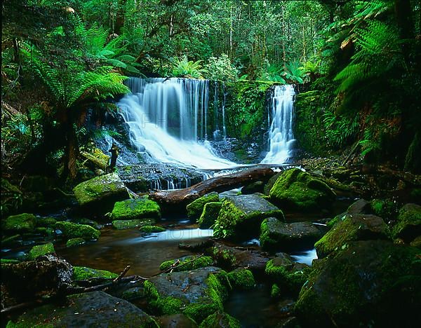 Waterfall in the rainforest