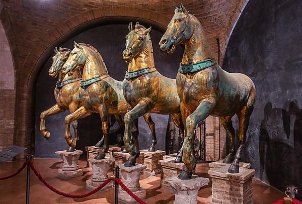 Quadriga of the Horses of San Marco in the Cathedral Museum of St Mark ...