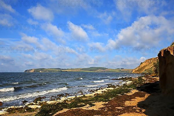 Beach of Klein Zicker dreamlike landscape on the Baltic Sea island of Ruegen. Moenchgut, Mecklenburg-Western Pomerania