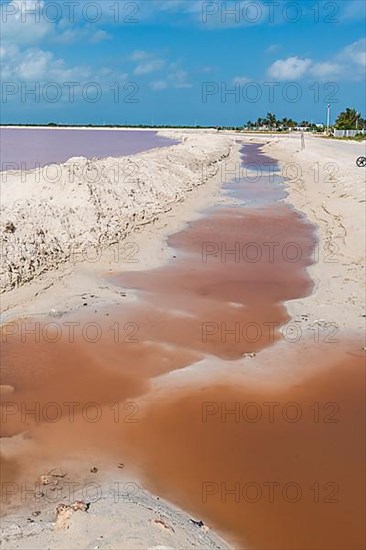 The colourful salinas of Las Coloradas, Yucatan