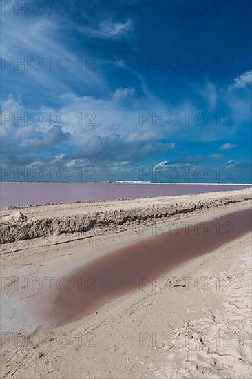 The colourful salinas of Las Coloradas, Yucatan