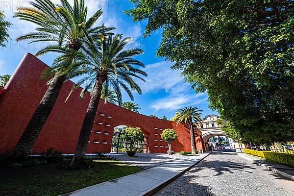 Plaza on January 24, Unesco site Tequila