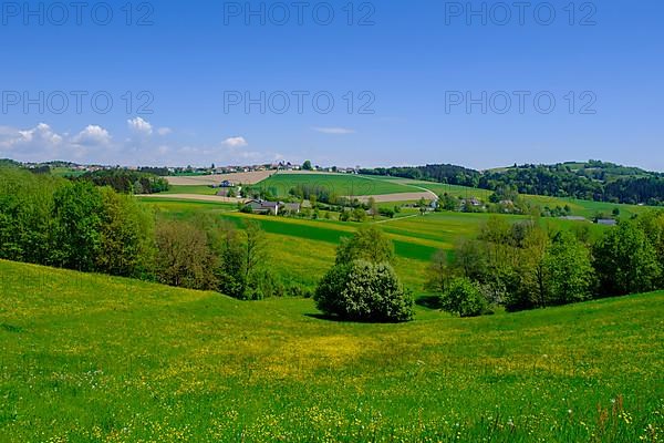 Haibach ob der Donau, Hausruckviertel