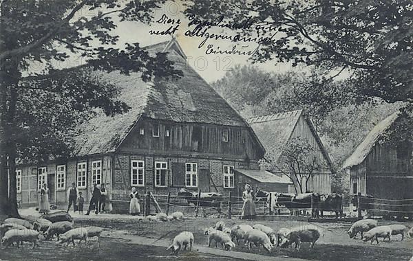 Lower Saxony farm with pigs in the Lueneburg Heath, Lower Saxony