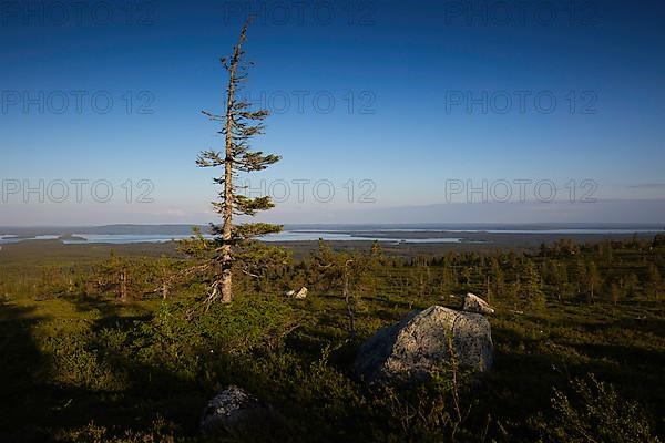 Riisitunturi with a view of Kitkajaervi, Riisitunturi National Park