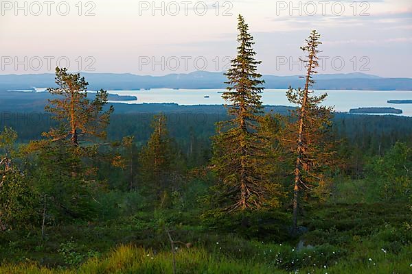 Riisitunturi with a view of Kitkajaervi, Riisitunturi National Park