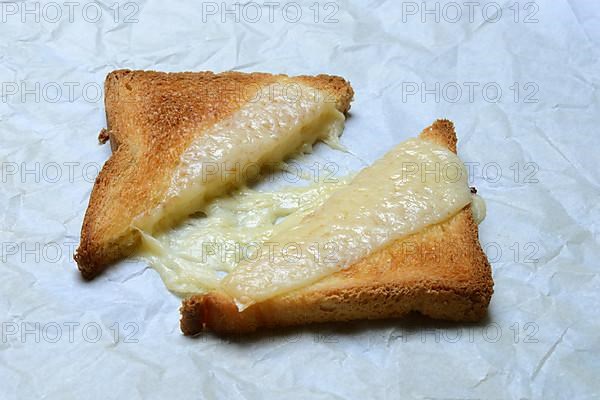 Melted processed cheese with toast, processed cheese