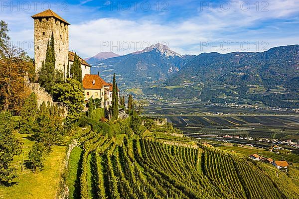 Lebenberg Castle above vineyards, near Cermes