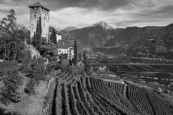 Lebenberg Castle above vineyards, near Tscherms