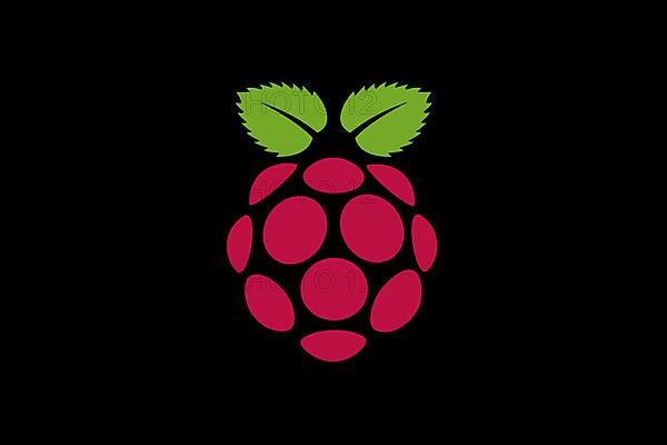 Raspberry Pi, Logo