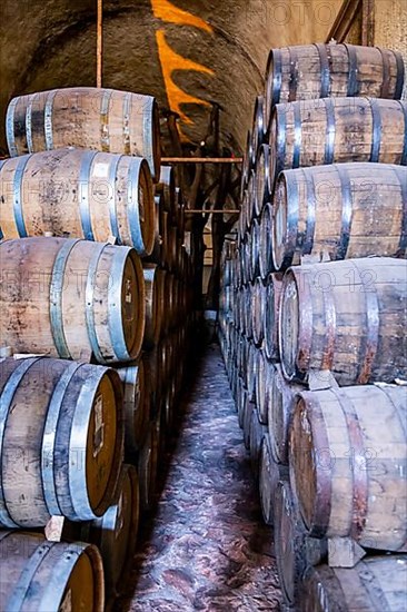 Old storage facility for Tequila barrels, Tequila Factory La Cofradia