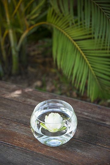 Tropical flower table decoration