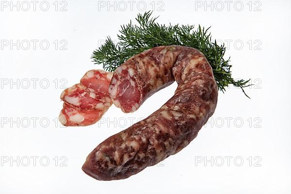 Sausage and greenery on an isolated studio background