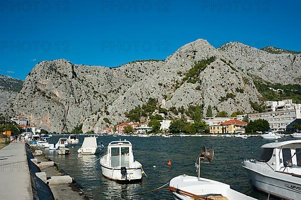 Omis