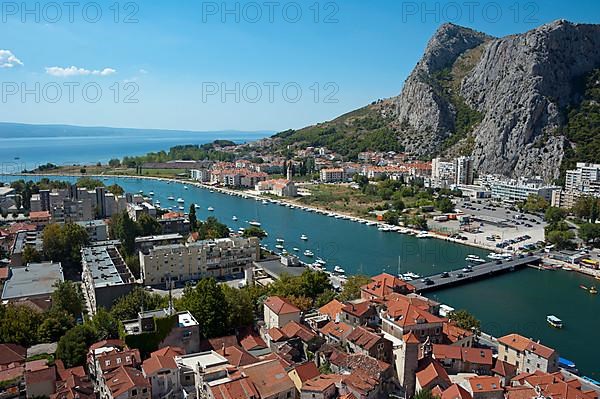 Omis