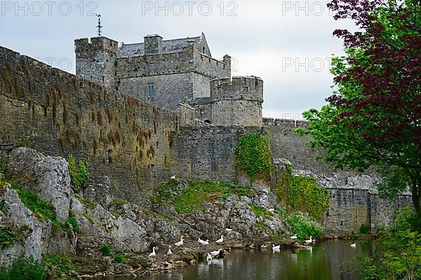 Cahir Castle