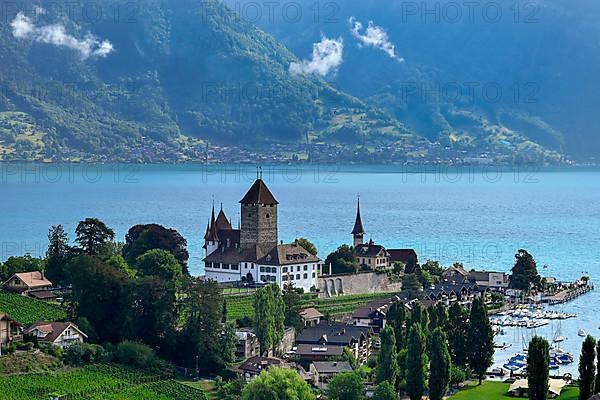 Spiez Castle