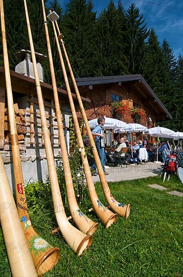 Alphorn blowers