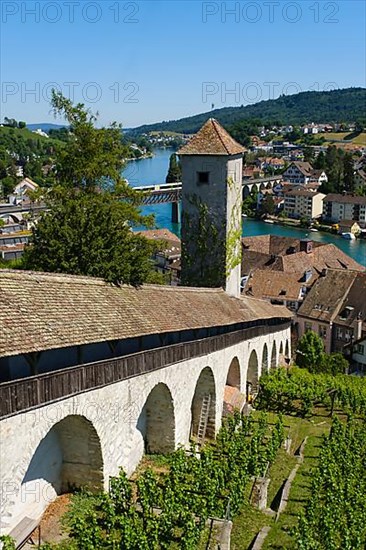 View of the Munot fortress and the town with the Rhine