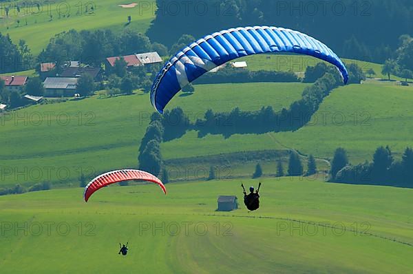 Paraglider