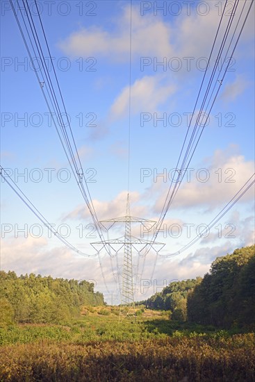 High-voltage power line in the forest aisle