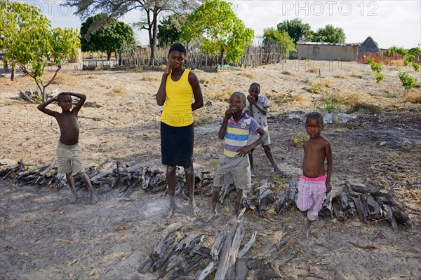 Sale of firewood