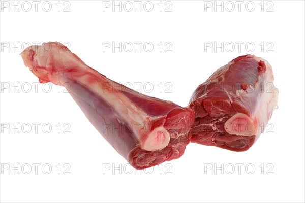 Raw fresh deer shank isolated on white background